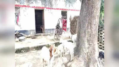 Ghazipur news: आठ साल पहले बाढ़ ने बेघर किया... 70 परिवारों के बेटे-बेटियां अविवाहित रहने को मजबूर