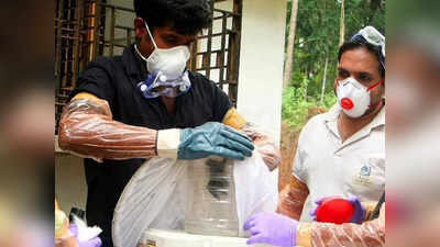 Kerala Nipah Virus: केरल में अब निपाह वायरस ने पसारे पांव, 12 साल के बच्‍चे की मौत, 2 हेल्‍थ वर्करों में मिले लक्षण