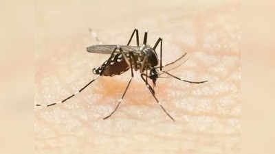 मलेरिया, डेंग्यूचा ताप वाढला; रुग्णांना जमिनीवर दाखल करुन घेण्याची वेळ