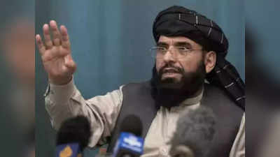 पंजशीर पर कब्जे के बाद बोला तालिबानी प्रवक्ता, किसी के खिलाफ नहीं होगा अफगान जमीन का इस्तेमाल