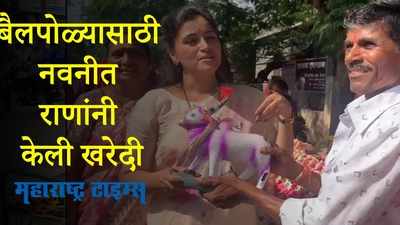Amravati : मुलाच्या पसंतीने खासदार नवनीत राणांनी केली बैलजोडीची खरेदी