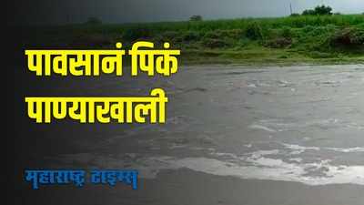 Solapur Rain : पावसानं दक्षिण सोलापूर तालुक्यात पूरसदृष स्थिती