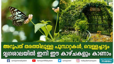 അറുപത് തരത്തിലുള്ള പൂമ്പാറ്റകൾ, വെള്ളച്ചാട്ടം; മൃഗശാലയിൽ ഇനി ഈ കാഴ്ചകളും കാണാം