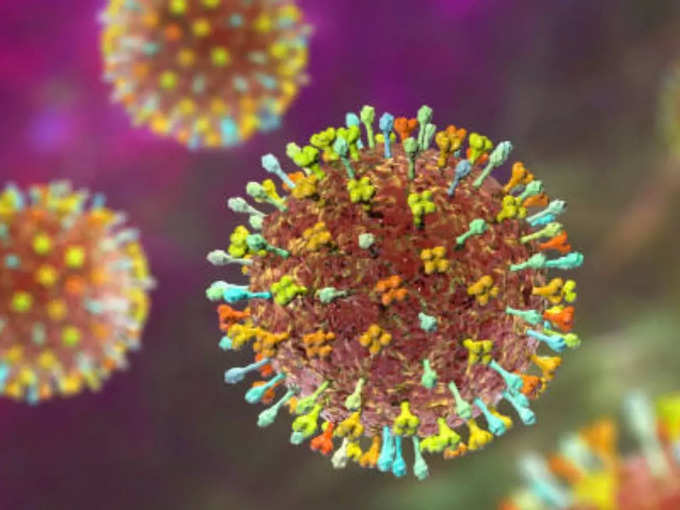 ​क्या है निपाह वायरस (एनआईवी)?