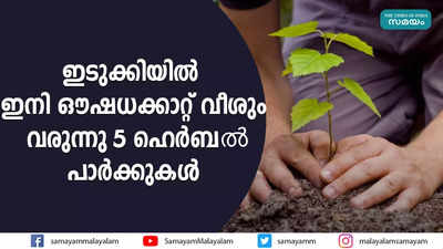 ഇടുക്കിയില്‍ ഇനി ഔഷധക്കാറ്റ് വീശും; വരുന്നു 5 ഹെര്‍ബൽ പാര്‍ക്കുകള്‍