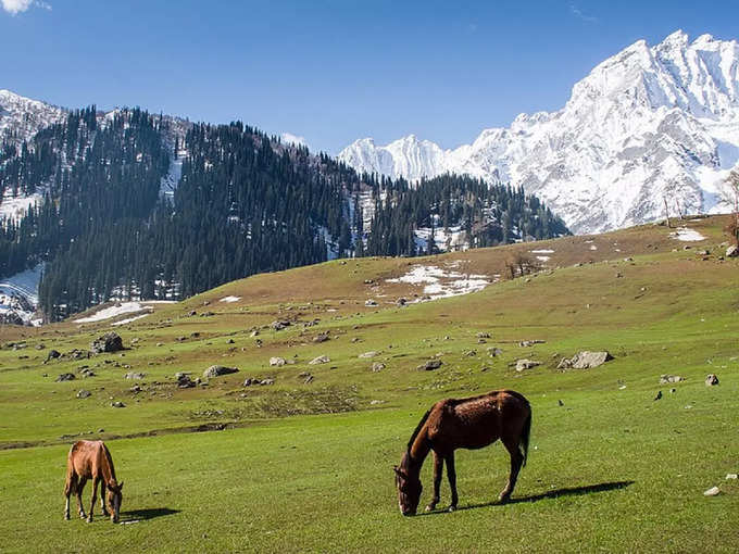 सोनमर्ग - Sonamarg in Hindi