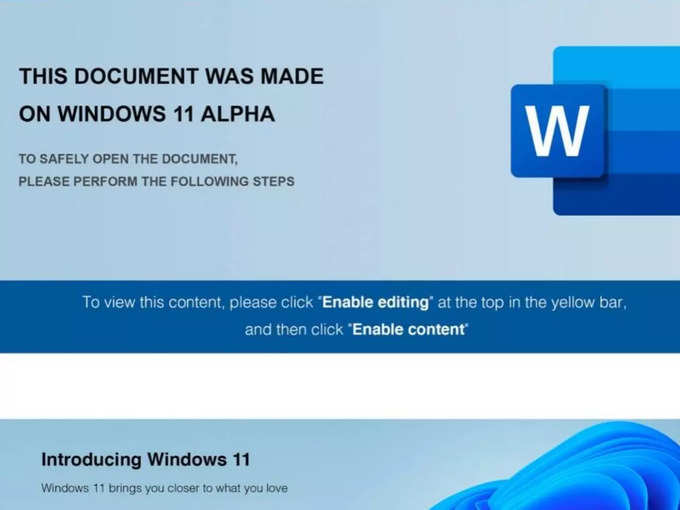 Windows 11 Alpha Malware attack