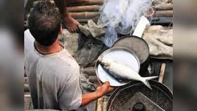 दुर्गंधीचे कारण पुढे करत मासेमारी व्यवसायाचे कॉर्पोरेटीकरण?