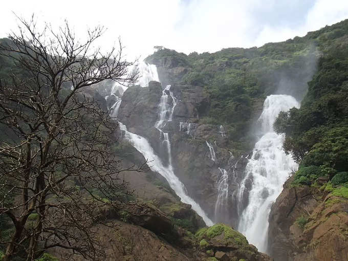 दक्षिण गोवा में दूधसागर वाटर फाल्स - Dudhsagar Waterfall in South Goa in Hindi