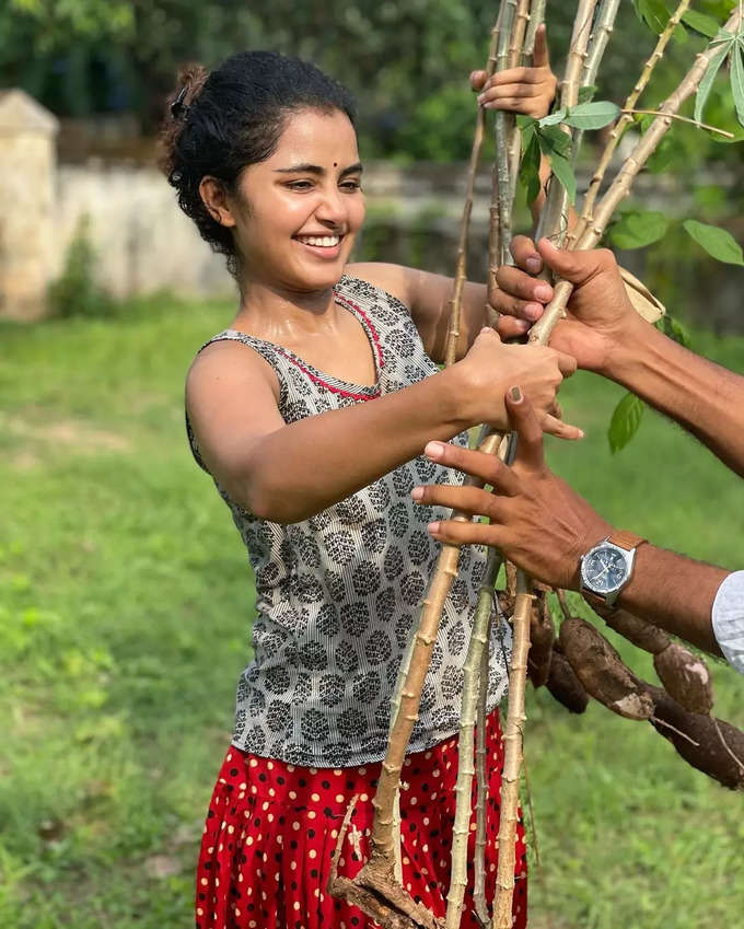 సోఫాలో అలా పడుకొని.. మలయాళీ ముద్దుగుమ్మ అనుపమ గ్లామర్ షో