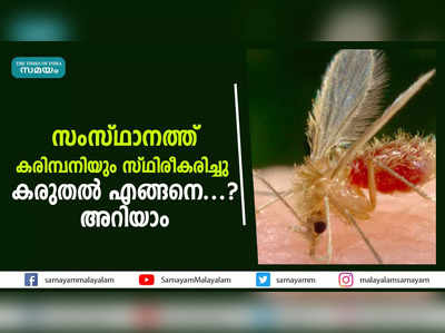 സംസ്ഥാനത്ത് കരിമ്പനിയും സ്ഥിരീകരിച്ചു;  കരുതല്‍ എങ്ങനെ...? അറിയാം