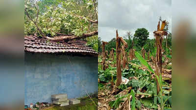 പുത്തൂരിൽ മിന്നൽ ചുഴലിക്കാറ്റ്; തകർന്നത് 30 ഓളം വീടുകൾ, വ്യാപക കൃഷിനാശം