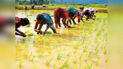 Bihar News : बाढ़ से प्रभावित किसानों की इस तरह मदद करेगी नीतीश सरकार