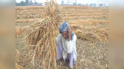 बिहार में फसल क्षति मुआवजे के लिए अब किसान की खेत में खड़े होकर तस्‍वीर लेना जरूरी नहीं, ऐसे करें आवेदन