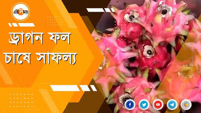 ড্রাগন ফল চাষকরে জেলার হিরো অজিত