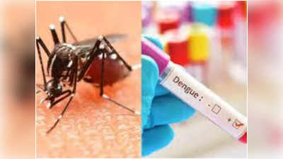 UP Dengue Cases: यूपी के ज‍िलों में कहर बरपा रहा डेंगू का D2 स्ट्रेन, ICMR ने दी चेतावनी