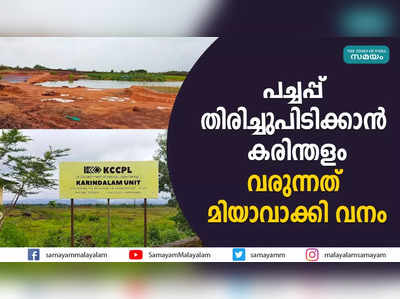 പച്ചപ്പ് തിരിച്ചുപിടിക്കാൻ കരിന്തളം; വരുന്നത് മിയാവാക്കി വനം