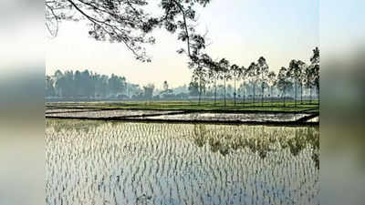 खरीप हंगाम पाण्यात