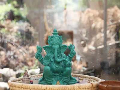 Ganesh Chaturthi 2021: এই ৫টি ফল গণপতির খুবই প্রিয়, এগুলো খেলে শরীরে কী কী উপকার হয়, জানেন?