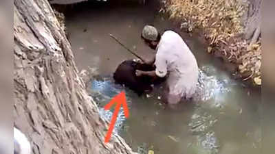 Video: क्रूरता के रेकॉर्ड तोड़ रहा तालिबान, पानी में हाथ-पैर बांधकर खड़ा किया फिर की बेरहमी से पिटाई