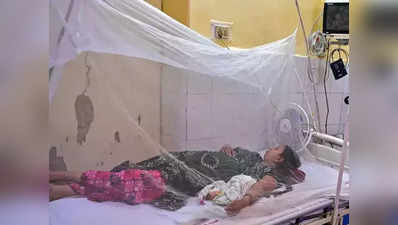 Firozabad Dengue News: फ‍िरोजाबाद में डेंगू के 120 नए मरीज, नगर स्वास्थ्य अधिकारी निलंबित, 8 झोलाछाप के क्‍लिनिक सील