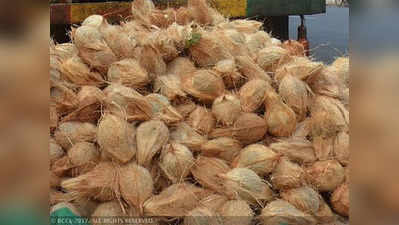 lucky temple coconut : दिव्य नारळ! कर्नाटकमधील फळ विक्रत्याने मोजले ६.५ लाख रुपये