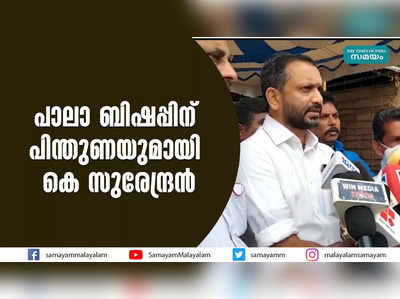 പാലാ ബിഷപ്പിന് പിന്തുണയുമായി കെ സുരേന്ദ്രന്‍ 