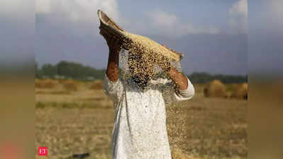 લોકડાઉનમાં ગુમાવી પાઈલટની નોકરી, આજે ખેતી કરીને પરિવારનું ગુજરાન ચલાવે છે