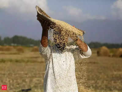 લોકડાઉનમાં ગુમાવી પાઈલટની નોકરી, આજે ખેતી કરીને પરિવારનું ગુજરાન ચલાવે છે 