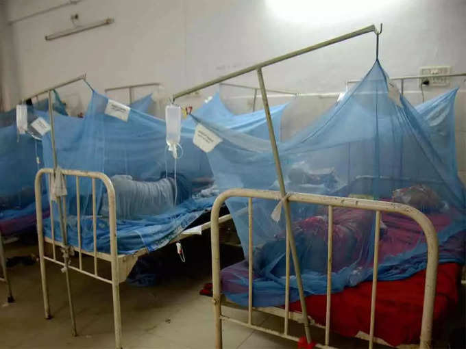 dengue patients