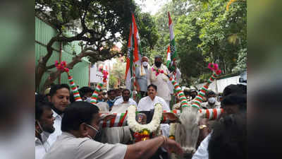 ಅಧಿವೇಶನಕ್ಕೆ ಪ್ರತಿಭಟನೆಯ ಸ್ವಾಗತ: ಎತ್ತಿನ ಗಾಡಿ ಏರಿ ವಿಧಾನಸೌಧದತ್ತ ಹೊರಟ ಸಿದ್ದರಾಮಯ್ಯ, ಡಿಕೆ ಶಿವಕುಮಾರ್