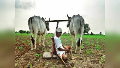 बिहार के 70 हजार किसान आज शाम तक चेक करें अपना बैंक अकाउंट, बर्बाद हुई रबी फसल के बदल आएगी नकदी