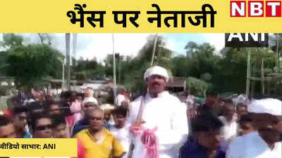 Bihar panchyat chunav 2021: भैंस पर सवार होकर नॉमिनेशन करने पहुंचे नेताजी