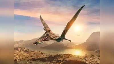 आसमान पर 16 करोड़ साल पहले राज करते थे ड्रैगन, 30 फीट लंबे पखों से भरते थे उड़ान, मिले सबूत