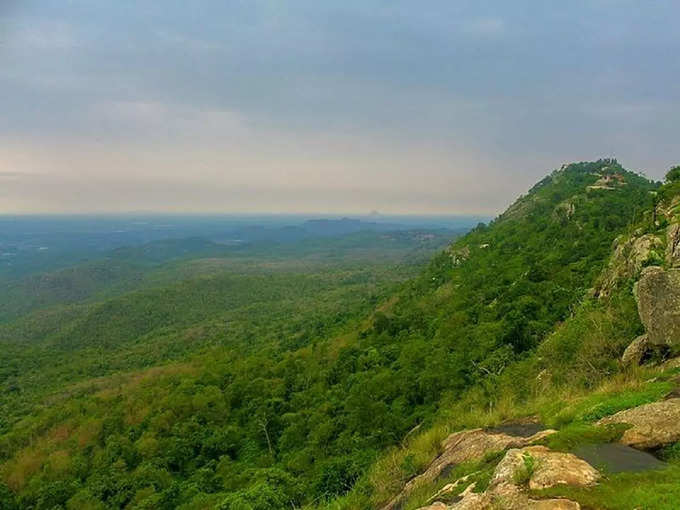 बीआर हिल्स, कर्नाटक - BR Hills, Karnataka in Hindi