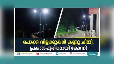 പൊക്ക വിളക്കുകൾ കണ്ണു ചിമ്മി, പ്രകാശപൂരിതമായി കോന്നി, വീഡിയോ കാണാം