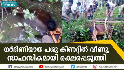 ഗർഭിണിയായ പശു കിണറ്റിൽ വീണു, സാഹസികമായി രക്ഷപ്പെടുത്തി