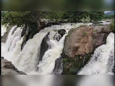 ஒகேனக்கலில் வெள்ளம்... இறங்கினால் உயிருக்கே ஆபத்து!