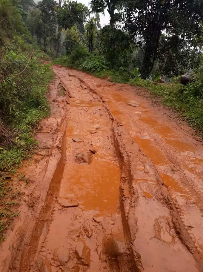 chikkamagaluru road