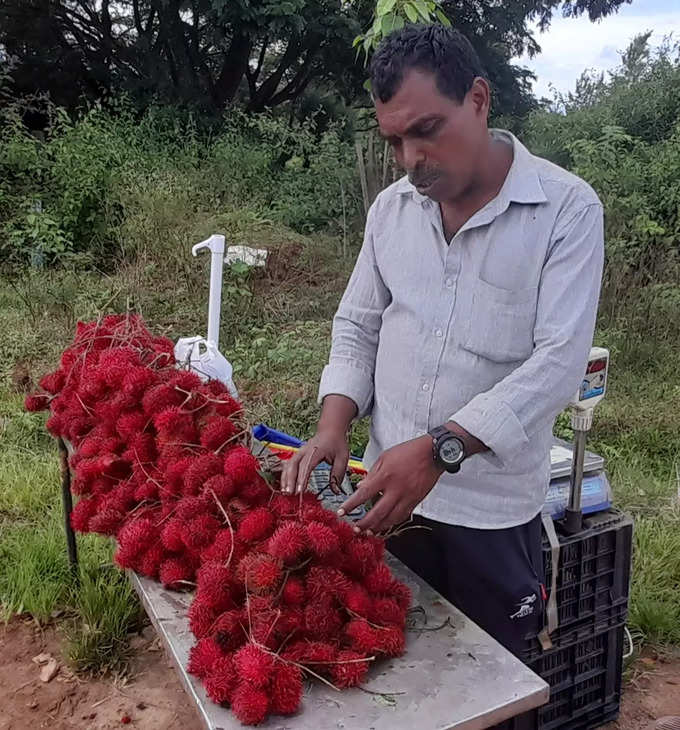 rambutan fruit sale in kodagu