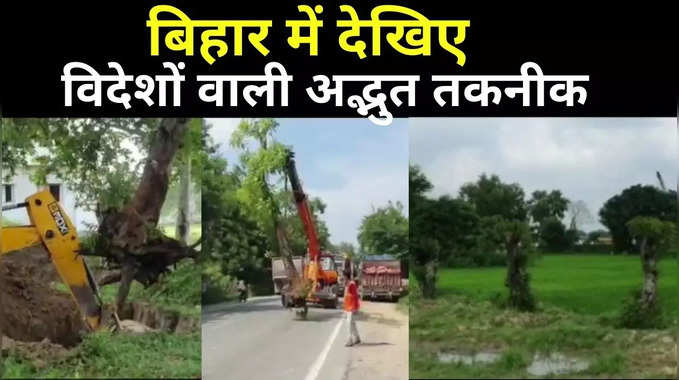 Amazing Video : पेड़ सिर्फ विदेशों में ही उखाड़ कर दोबारा नहीं लगाए जाते, देखिए बिहार का ये हैरान कर देने वाला वीडियो