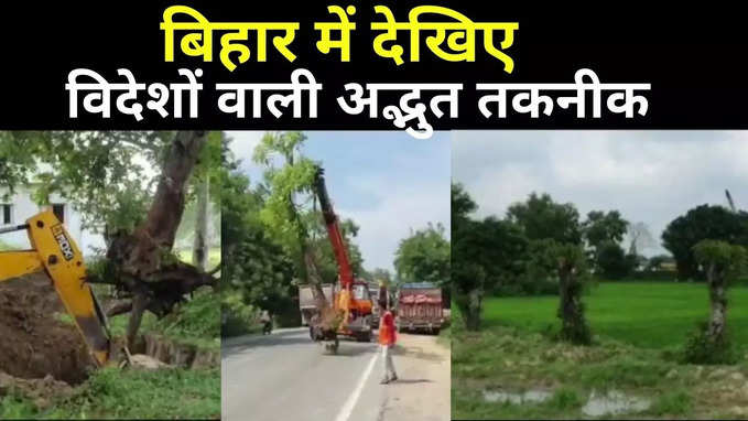 Amazing Video : पेड़ सिर्फ विदेशों में ही उखाड़ कर दोबारा नहीं लगाए जाते, देखिए बिहार का ये हैरान कर देने वाला वीडियो