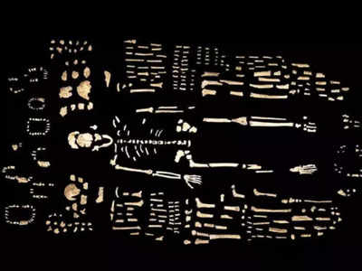 हमारे पूर्वज के हाथ में थीं 150 हड्डियां, वैज्ञानिकों ने खोजी थी इंसानों की नई प्रजाति