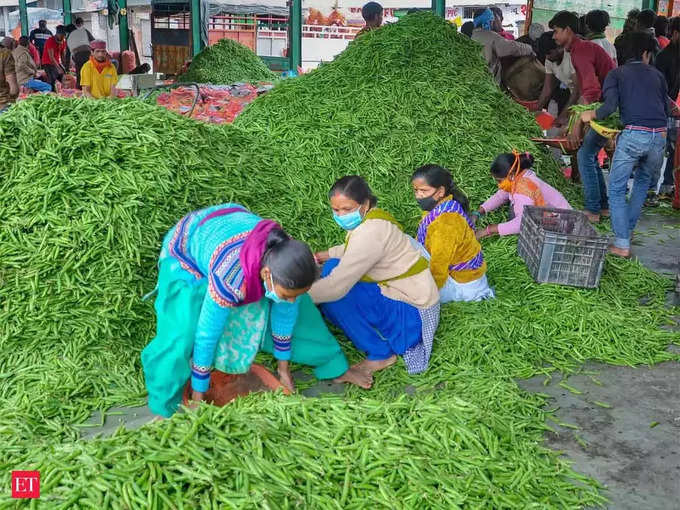 कब की जाती है मटर की खेती?