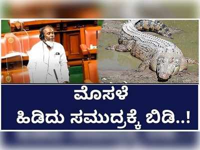 ತುಂಗಭದ್ರಾ ನದಿಯಲ್ಲಿರುವ ಮೊಸಳೆ ಹಿಡಿದು ಸಮುದ್ರಕ್ಕೆ ಬಿಡಿ..! ಸಿರುಗುಪ್ಪ ಶಾಸಕ ಆಗ್ರಹ