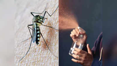 ఈ Mosquito Killer Spray తో డెంగ్యూ, మలేరియాను త‌ర‌మేయండి.