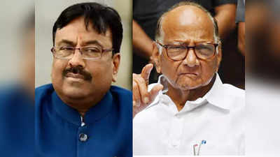 mungantiwar criticizes sharad pawar: शरद पवारांना मुख्यमंत्र्यांवर नाराजी व्यक्त करण्याचा अधिकार नाही; मुनगंटीवारांचे टीकास्त्र