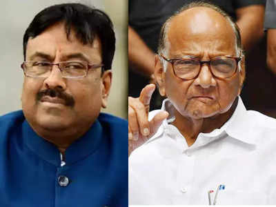 mungantiwar criticizes sharad pawar: शरद पवारांना मुख्यमंत्र्यांवर नाराजी व्यक्त करण्याचा अधिकार नाही; मुनगंटीवारांचे टीकास्त्र