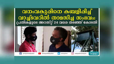 വനംവകുപ്പിനെ കബളിപ്പിച്ച് വാച്ച്ടവറില്‍ താമസിച്ച സംഭവം; പ്രതികളുടെ അറസ്റ്റ് 24 വരെ തടഞ്ഞ് കോടതി, പ്രതികൾക്ക് വേണ്ടി ഹാജരായത് ആളൂർ