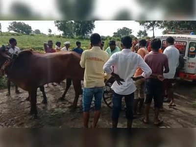 चक्क बैलगाडीत मृतदेह टाकून केली नदी पार; नरसापूर ग्रामस्थांचे हाल सुरूच